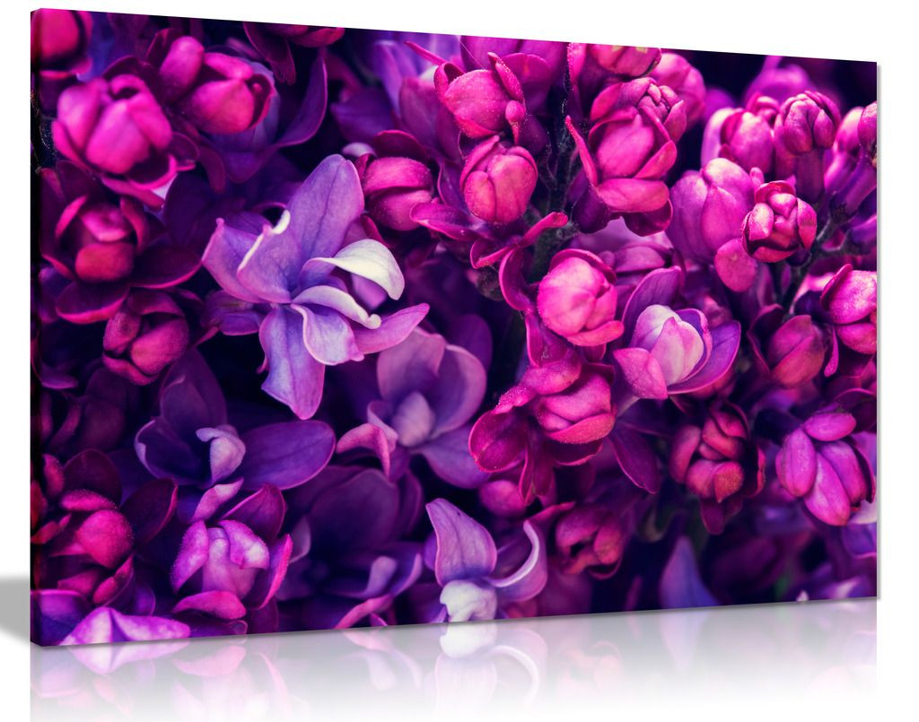 Purple Lilac Flowers For Home Canvas