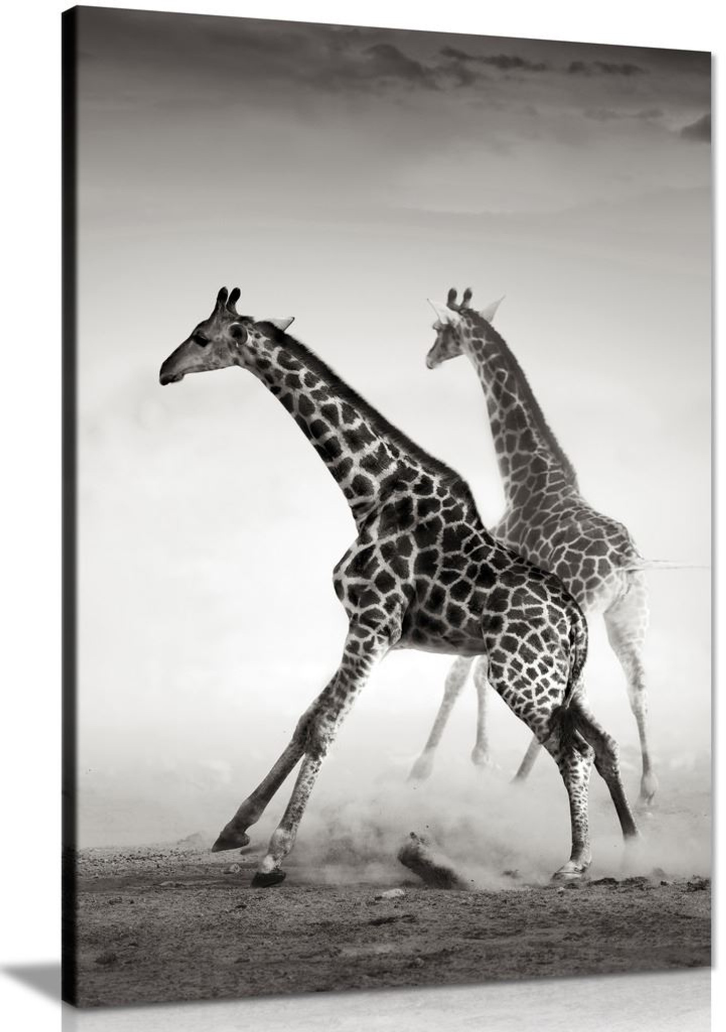 Giraffe Black White Canvas Wall Art Picture Print Panther Print