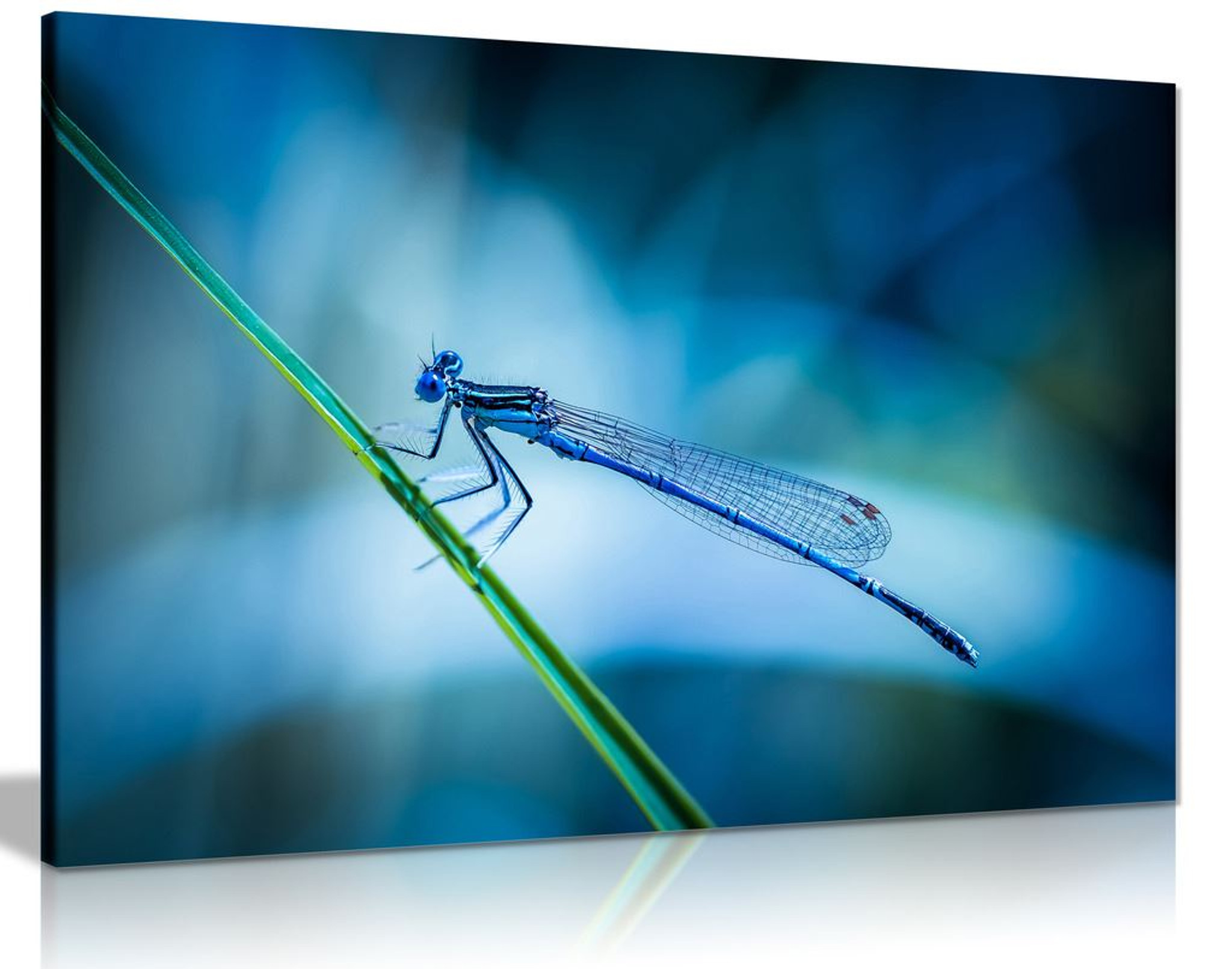 Dragonfly Blue Green Canvas Wall Art Picture Print