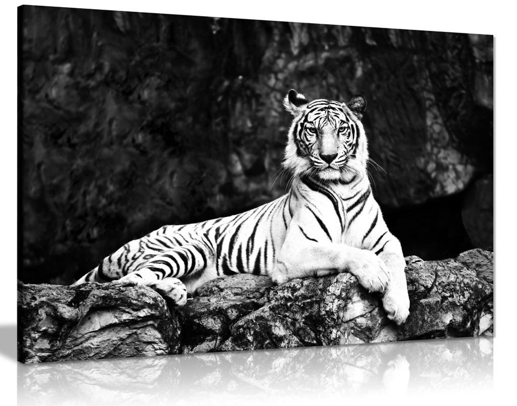 Black And White White Tiger Lie On Rock Canvas Wall Art Picture Print