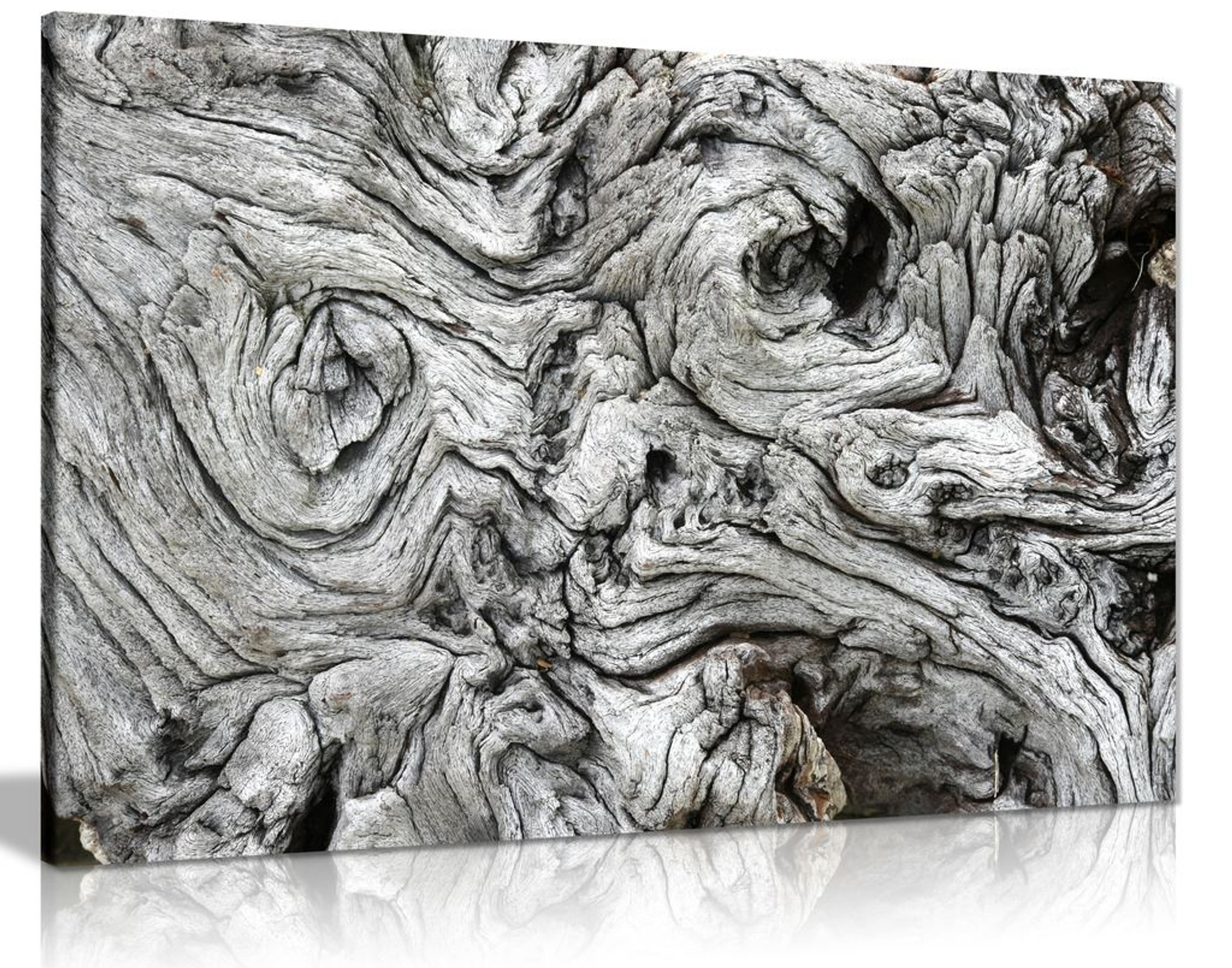 Black & White Driftwood Canvas Wall Art Picture Print