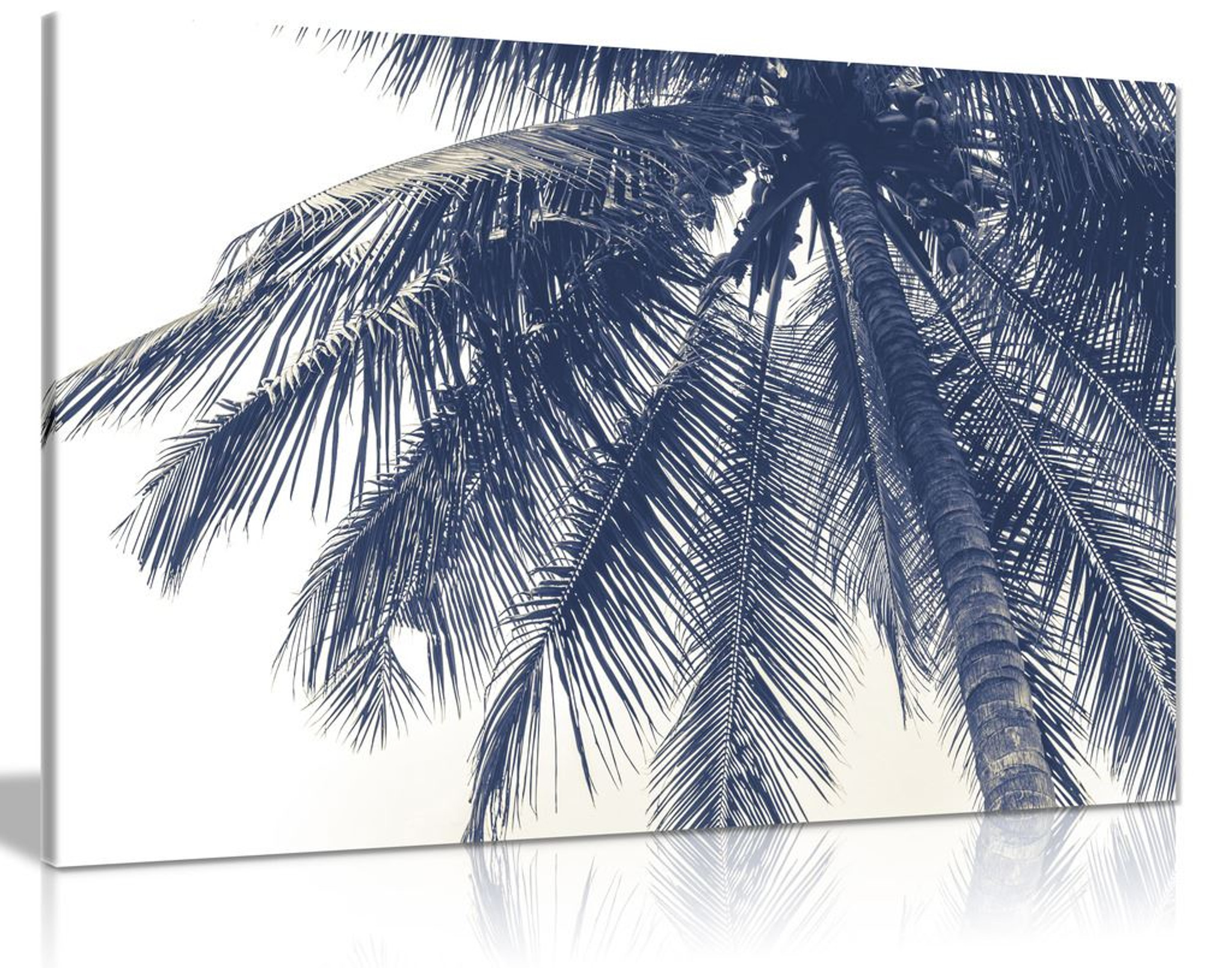 Black & White Coconut Tree Canvas Wall Art Picture Print