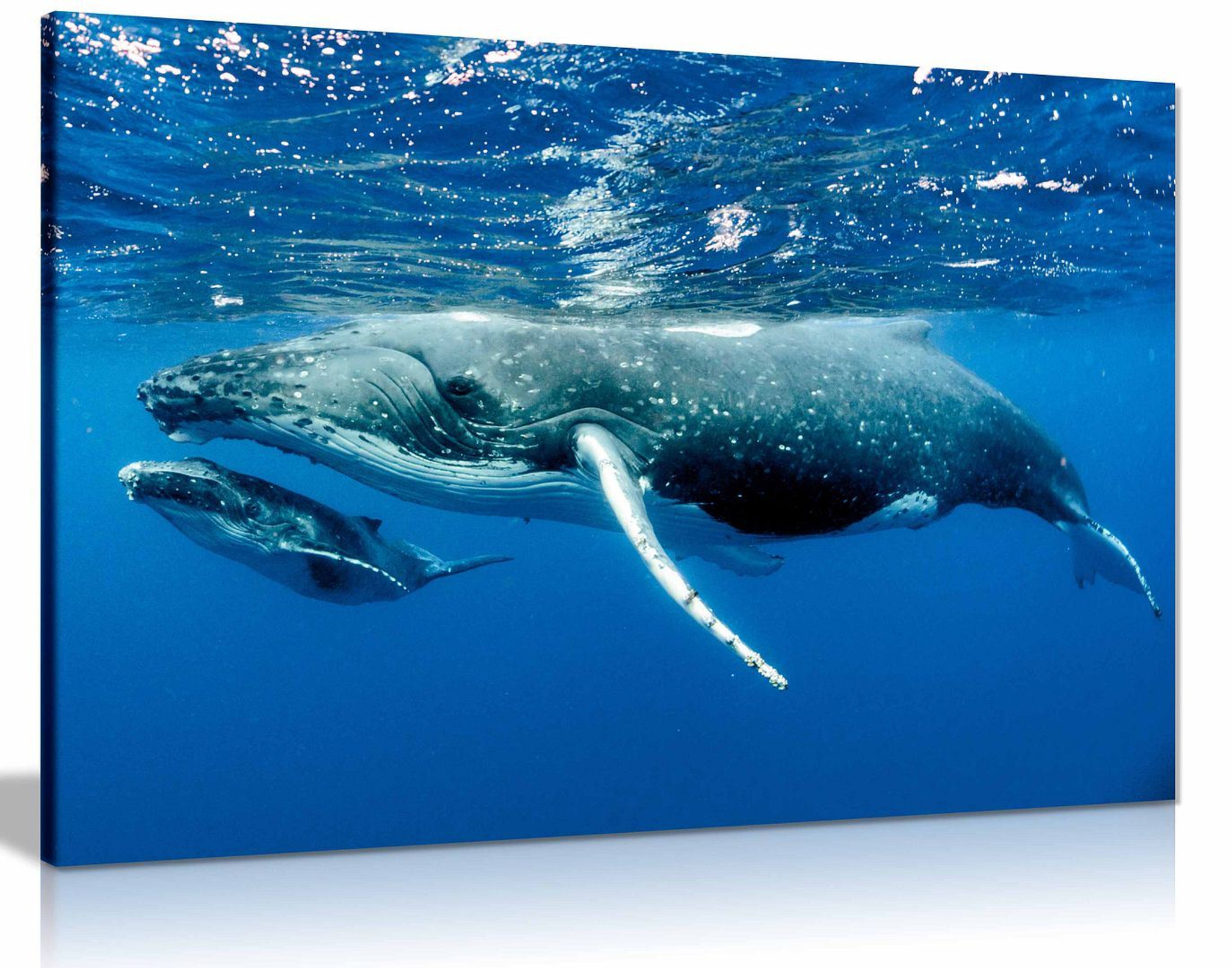 Humpback Whale Ocean SeaLife Sea Nature Canvas Wall Art Picture Print Home Decor