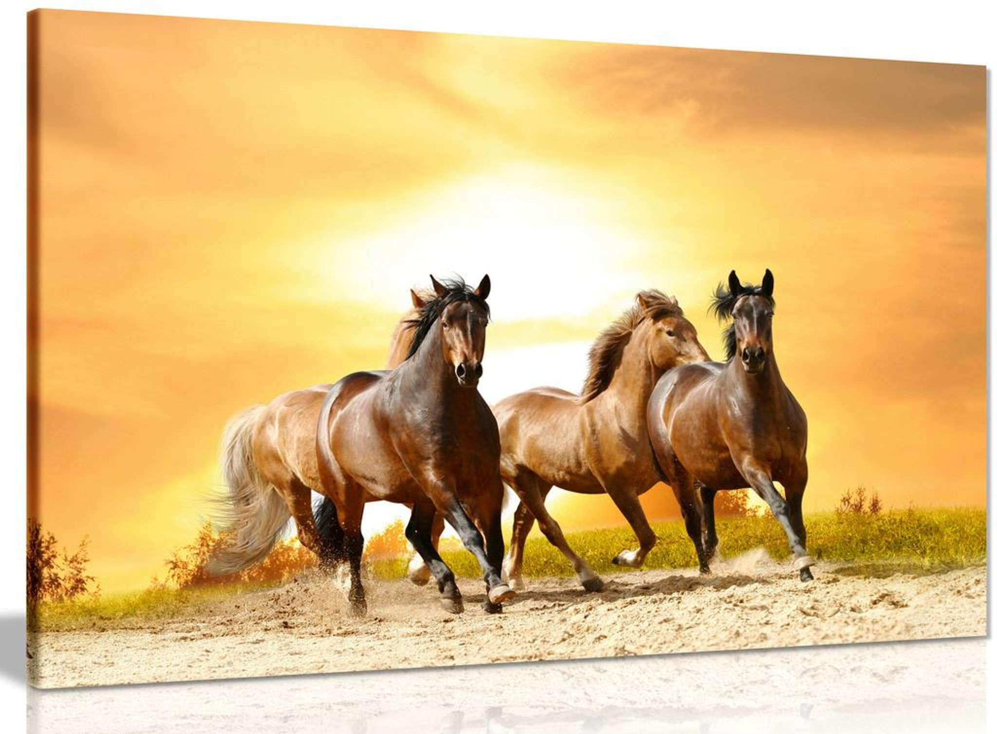 Running Wild Horses Sunset Canvas