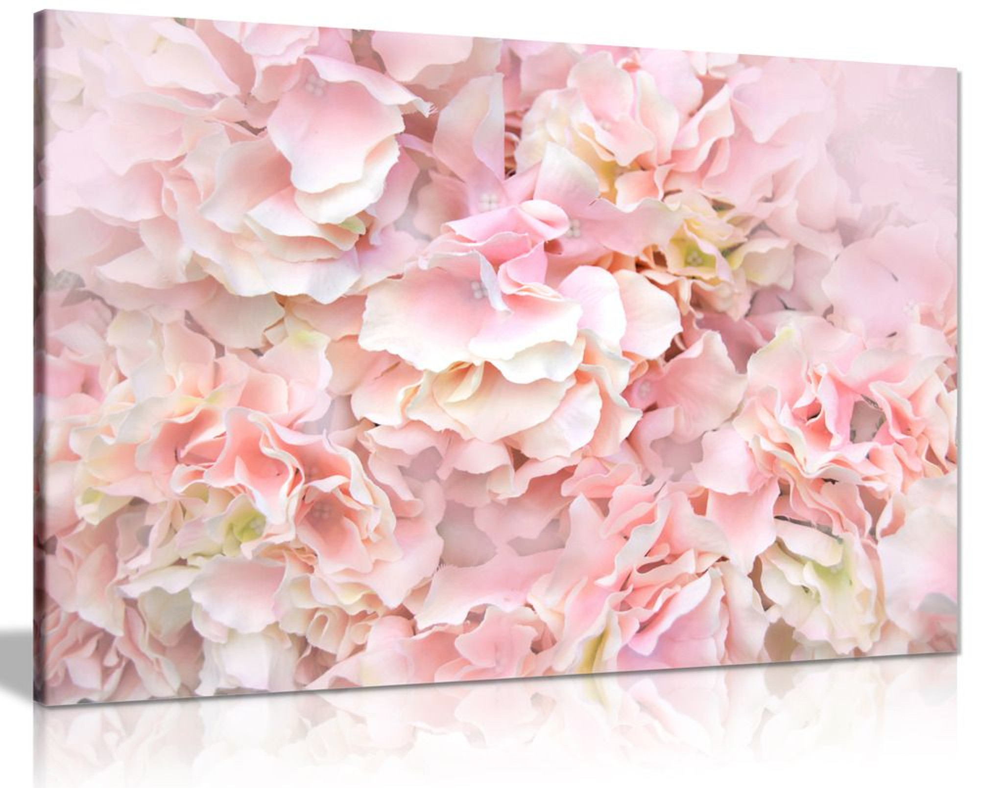Pastel Pink Flowers Floral Canvas