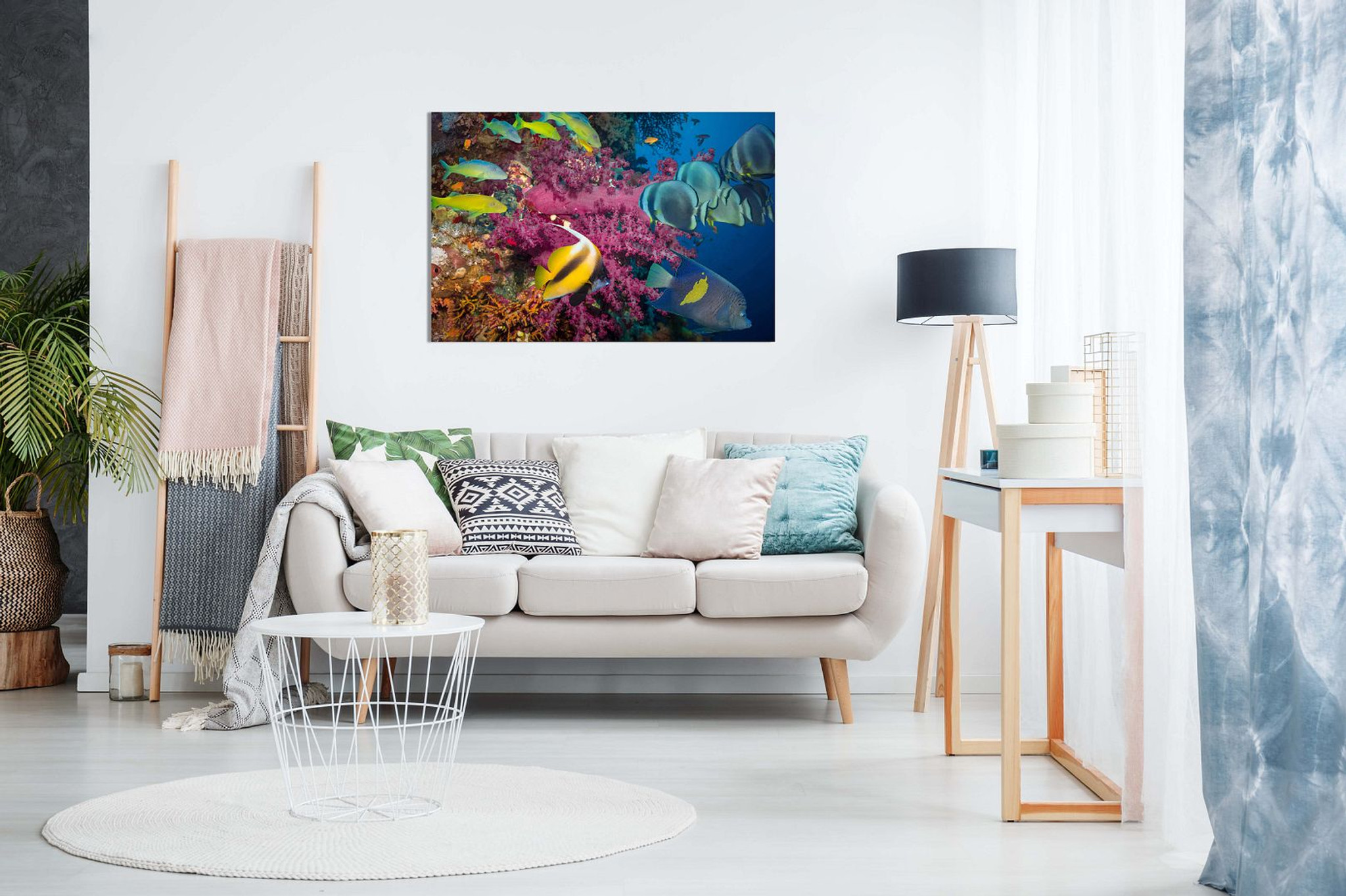 Tropical Fish & Coral Canvas