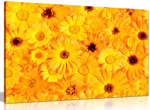 Orange & Yellow Flowers Canvas