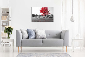 Large Tree Red Leaves Black White Park Bench Nature Canvas