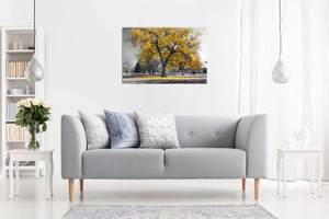 Large Tree Yellow Leaves Black White Nature Canvas