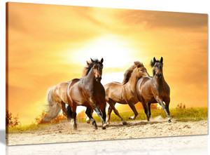 Running Wild Horses Sunset Canvas