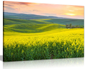 Beautiful Spring Hills Yellow Valley Landscape Canvas