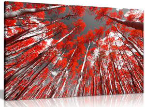 Red Trees On Black And White Background Canvas