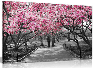 Black & White Wall Art Pink Blossoms Canvas