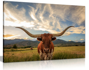 Cow Prints Longhorn Steer Animal Wildlife Canvas