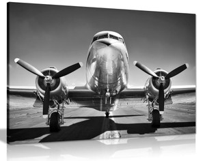 Vintage Black & White Shiny Airplane Canvas Wall Art Picture Print