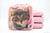 Cornhole Bags. Regulation Size. Kittens Tabby on Pink Cornhole Bags. Regulation Size. Kittens Tabby on Pink
