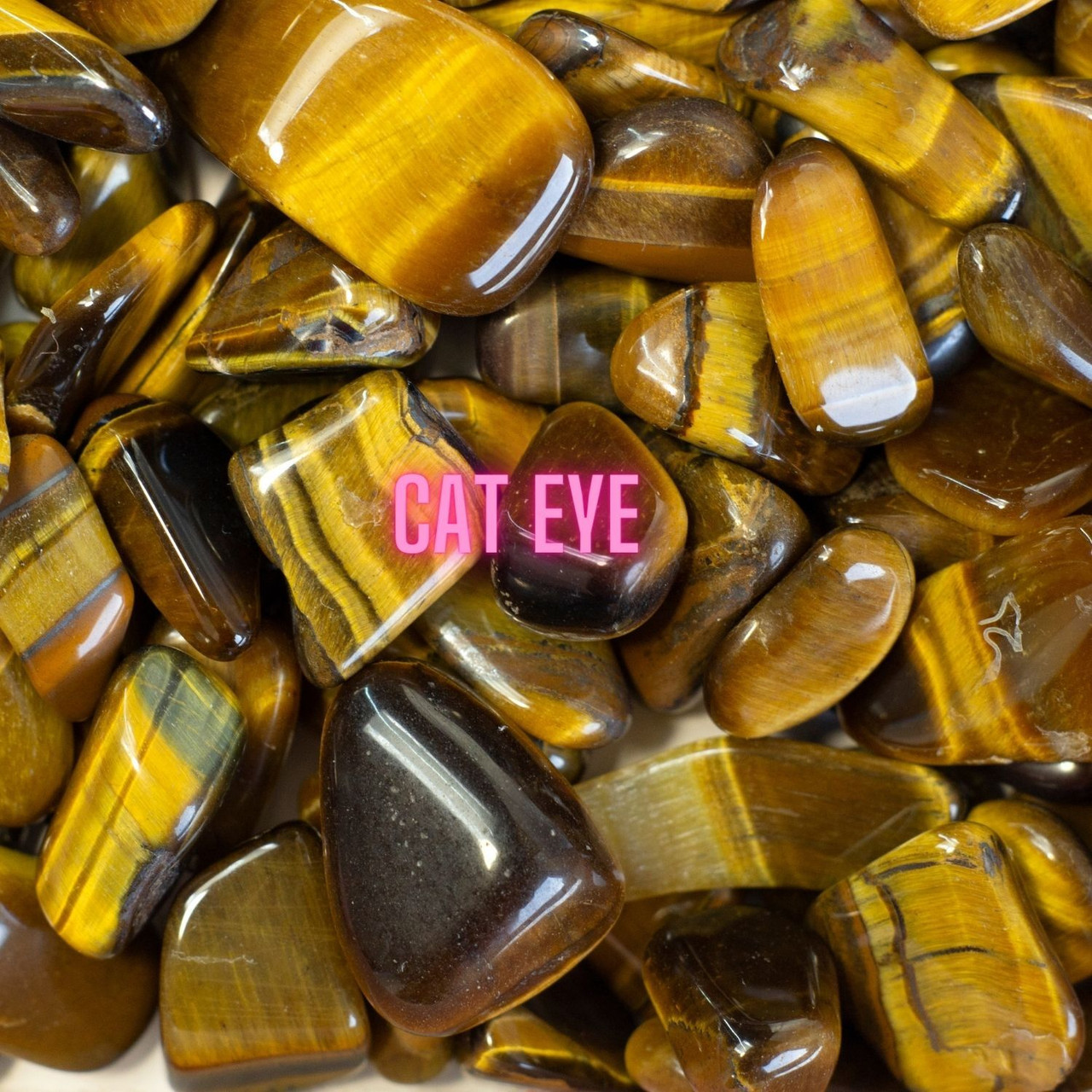 Cat Eye