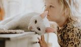 Simple Cat Dental Care: Easy Daily Routines for a Healthier Smile