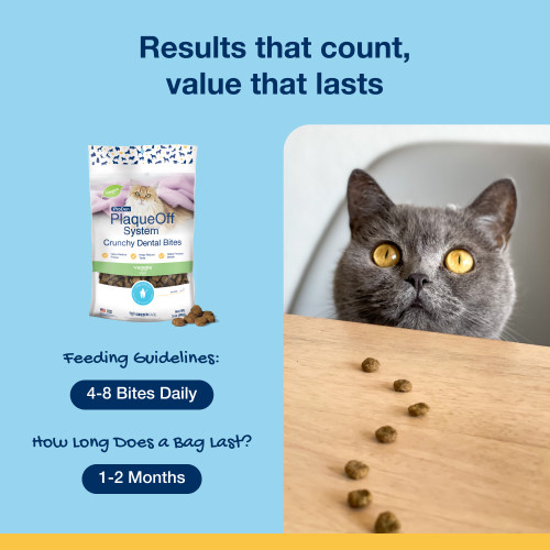 Crunchy Dental Bites for cats – Veggie Crunchy Dental Bites for cats – Veggie