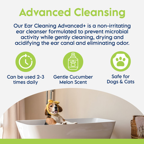 Ear Cleaning ADVANCED+ Wipes