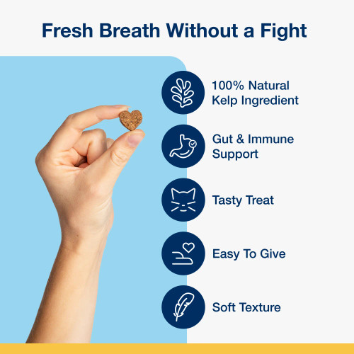 Holistic Soft Bites - Oral Care with Gut & Immune Support Sweet Potato and Pumpkin Flavor