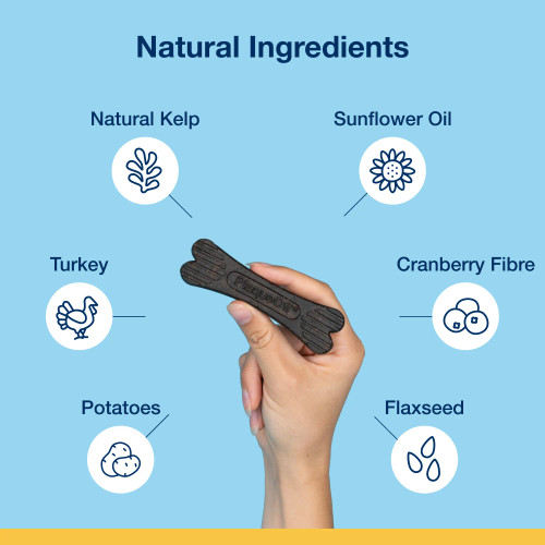 Close-up of ProDen PlaqueOff® System Dental Care Bone – Turkey and Cranberry Flavor, highlighting its unique shape designed to reduce plaque and tartar in dogs. Close-up of ProDen PlaqueOff® System Dental Care Bone – Turkey and Cranberry Flavor, highlighting its unique shape designed to reduce plaque and tartar in dogs.