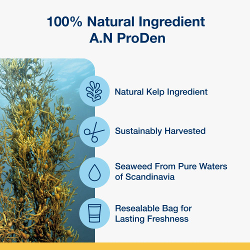 A.N ProDen® Kelp – the scientifically proven key ingredient in ProDen PlaqueOff® System Dental Care Bones, helping to naturally reduce plaque and tartar buildup in dogs. A.N ProDen® Kelp – the scientifically proven key ingredient in ProDen PlaqueOff® System Dental Care Bones, helping to naturally reduce plaque and tartar buildup in dogs.
