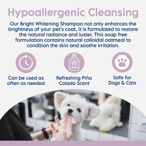 Bright Whitening Shampoo Bright Whitening Shampoo