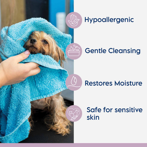 Aloe & Oatmeal Shampoo Aloe & Oatmeal Shampoo