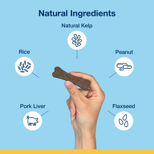 Close-up of ProDen PlaqueOff® System Mini Dental Care Bone – Peanut Butter & Banana Flavor, highlighting its unique shape to help reduce plaque and tartar in small dogs.