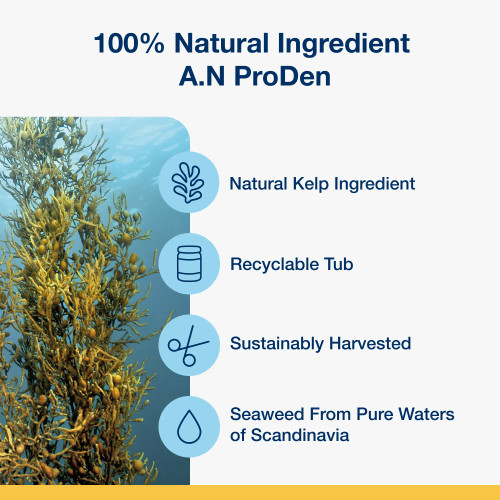 ProDen PlaqueOff® Soft Chews – Made with 100% Natural Kelp. A.N ProDen®