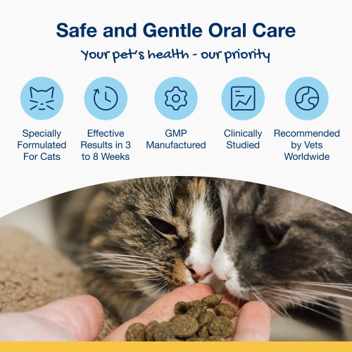 Holistic Soft Bites for Kittens - Oral Care Kitten Formula