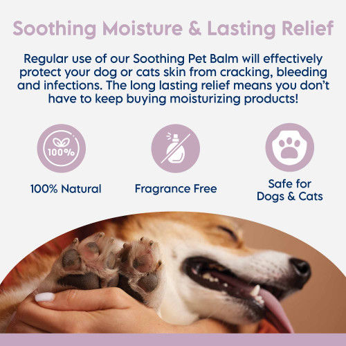 Nose to Tail Soothing Balm