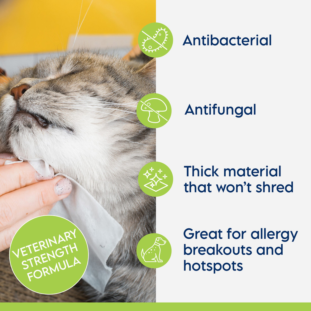 Keto-C® Antiseptic XL Wipes