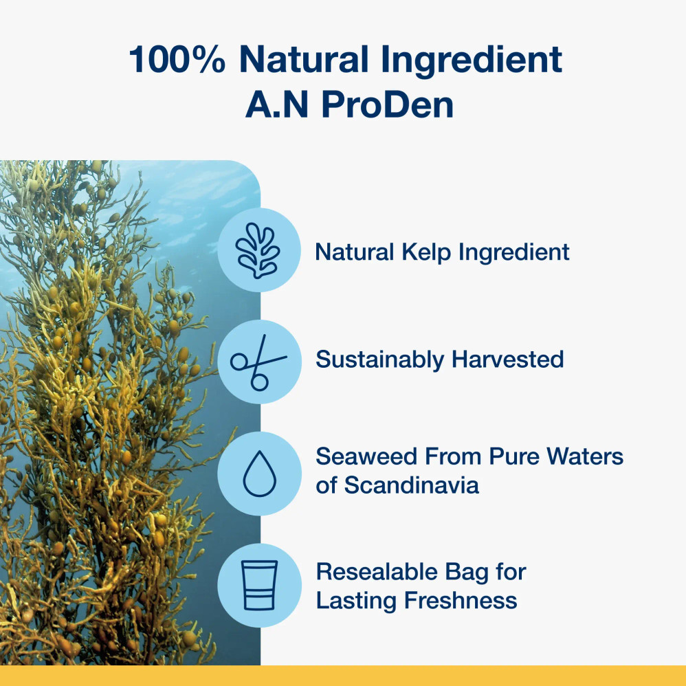 A.N ProDen® Kelp – the scientifically proven key ingredient in ProDen PlaqueOff® System Dental Care Bones, helping to naturally reduce plaque and tartar buildup in dogs. A.N ProDen® Kelp – the scientifically proven key ingredient in ProDen PlaqueOff® System Dental Care Bones, helping to naturally reduce plaque and tartar buildup in dogs.