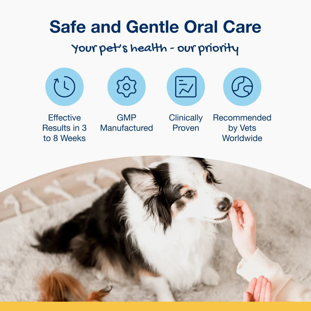 Holistic Soft Bites - Oral Care with Hip & Joint
