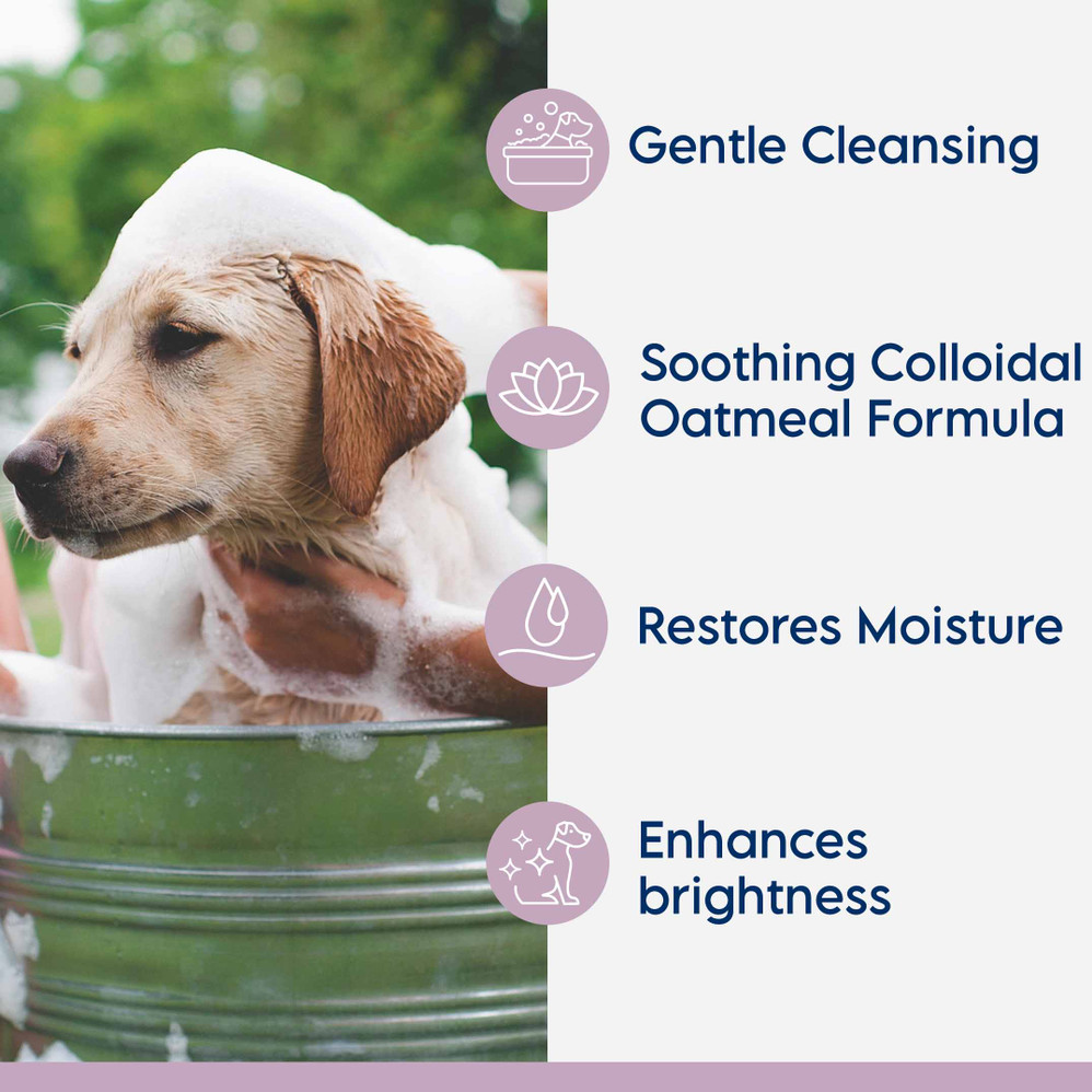 Bright Whitening Shampoo Bright Whitening Shampoo