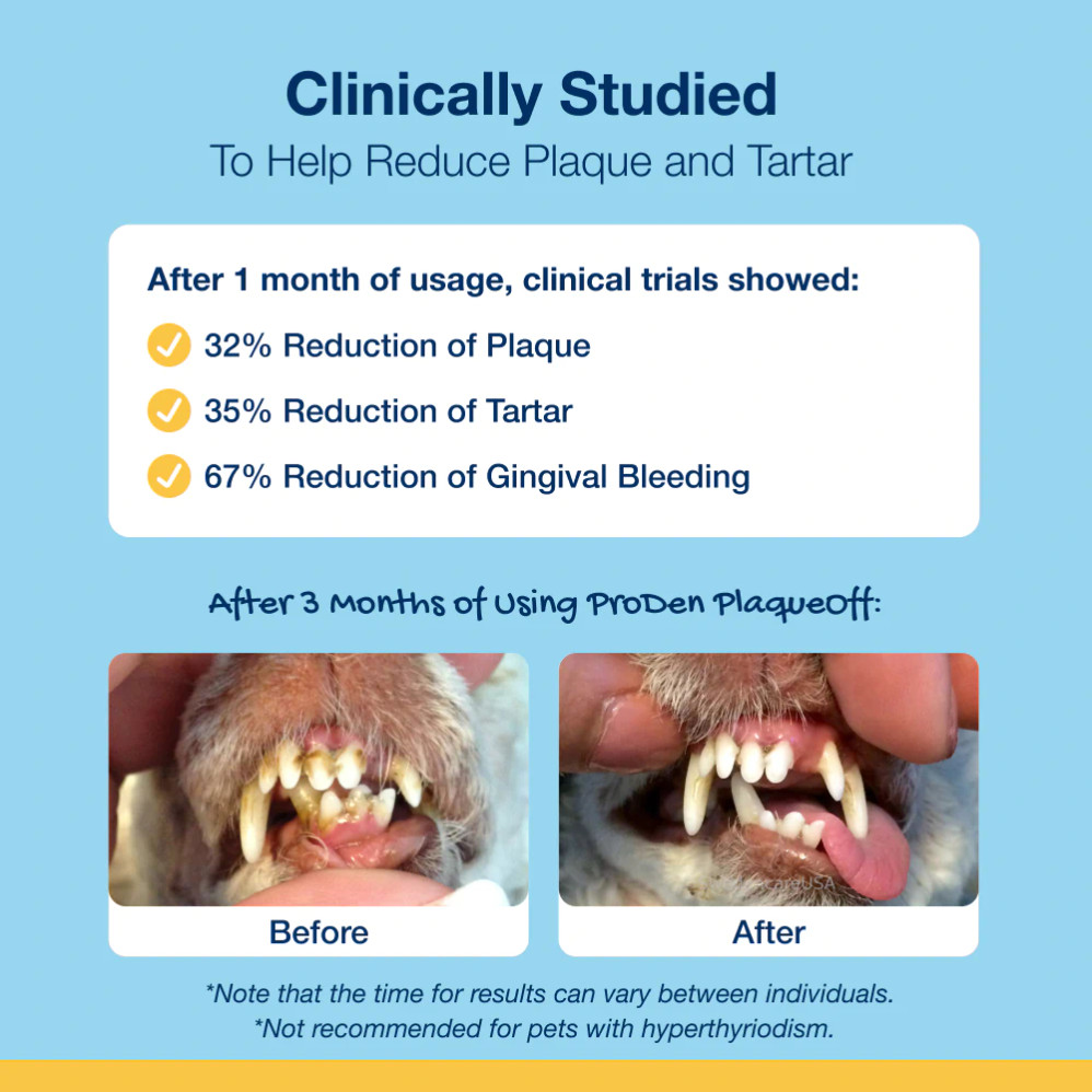 VOHC Accepted Plaque Off Dental Care Bones for Dogs – Promotes Oral Health