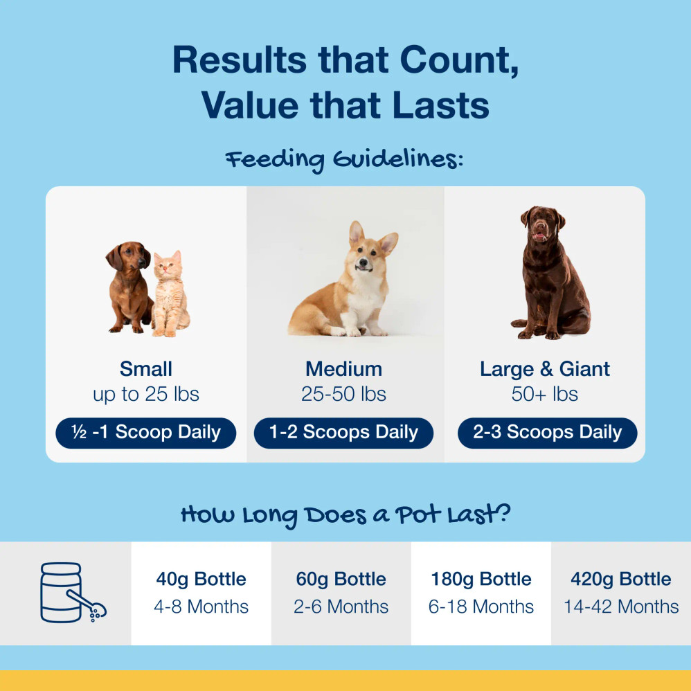 ProDen PlaqueOff® Powder for Dogs – Available in 60g, 180g, and 420g Sizes