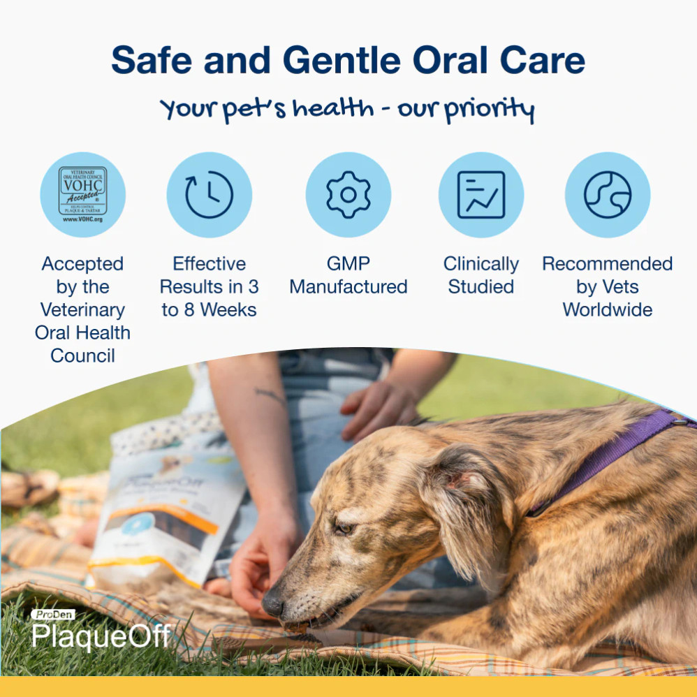 Happy dog with fresh breath after regular use of ProDen PlaqueOff® Dental Care Bones – Mint Fusion.