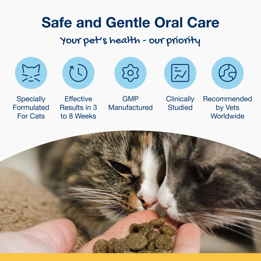 Holistic Soft Bites for Kittens - Oral Care Kitten Formula