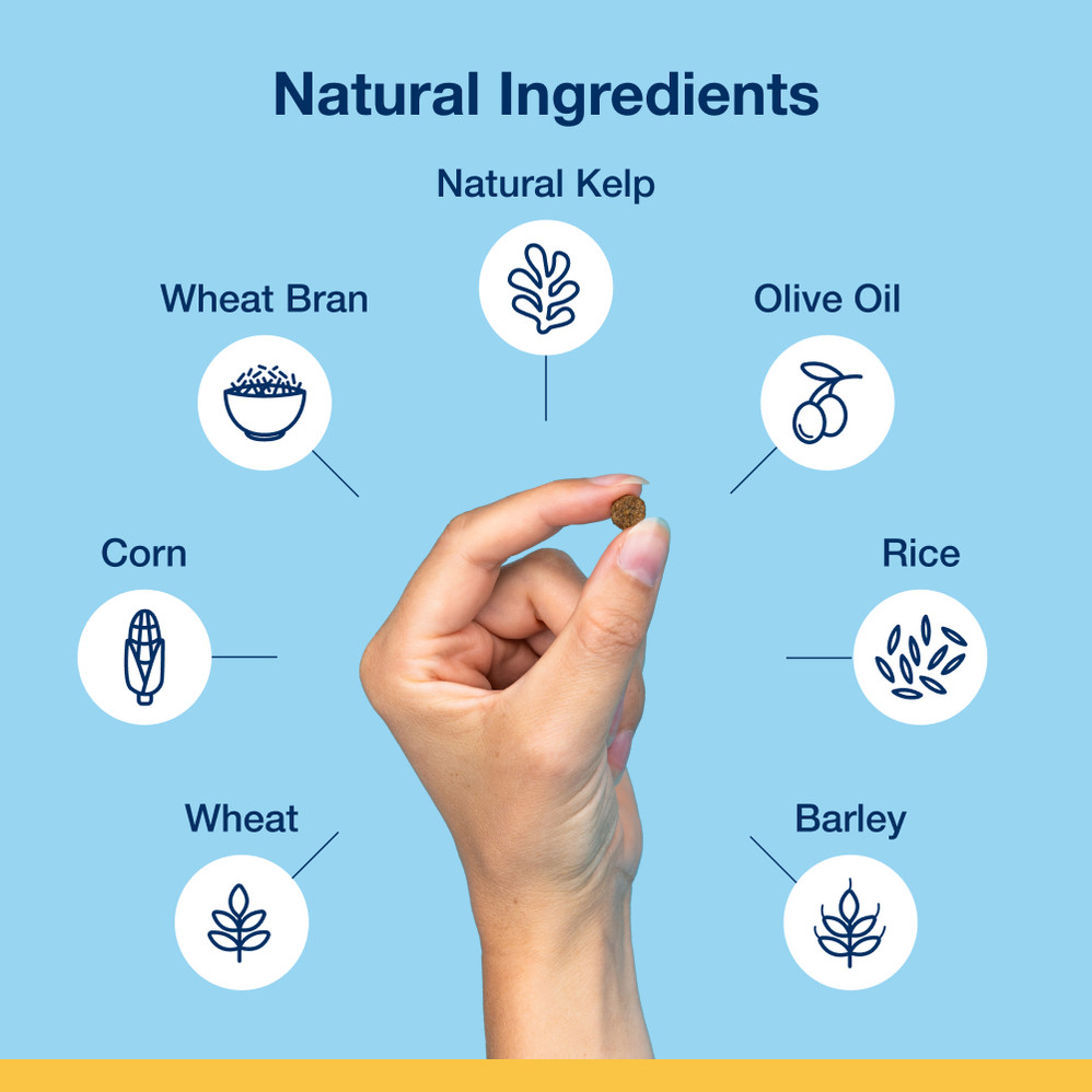 Crunchy Dental Bites for dogs – Veggie