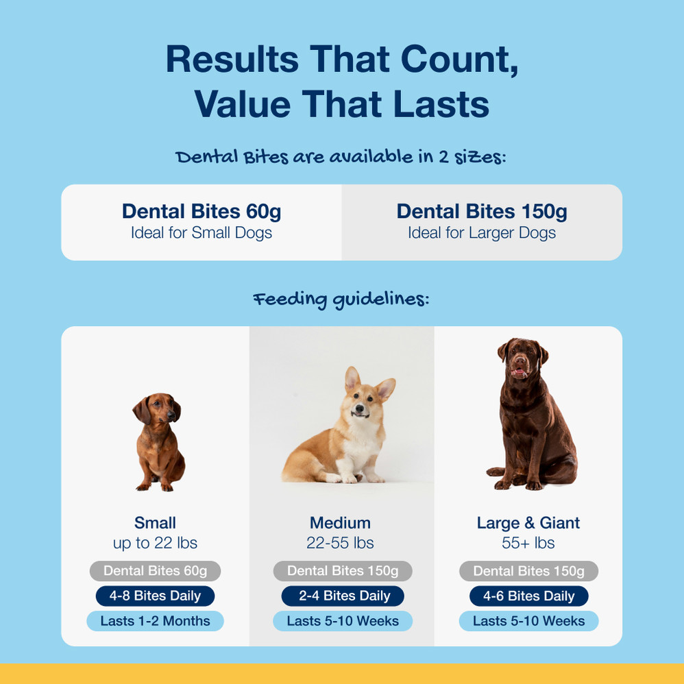 Crunchy Dental Bites for dogs – Veggie