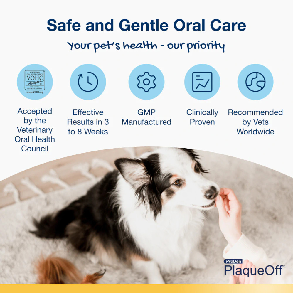 Crunchy Dental Bites for dogs – Veggie