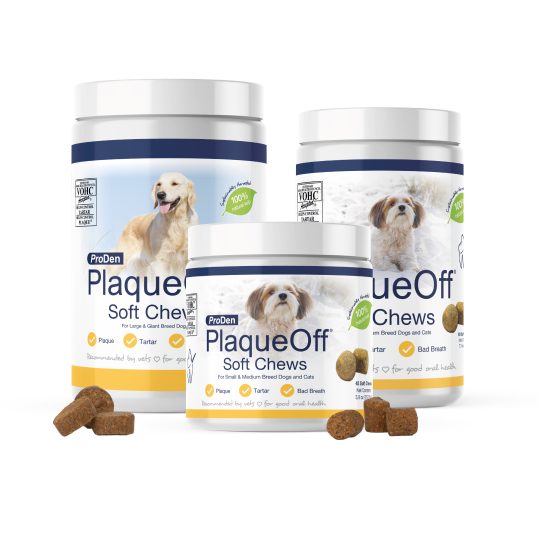 VOHC approved Soft Chews for Dogs