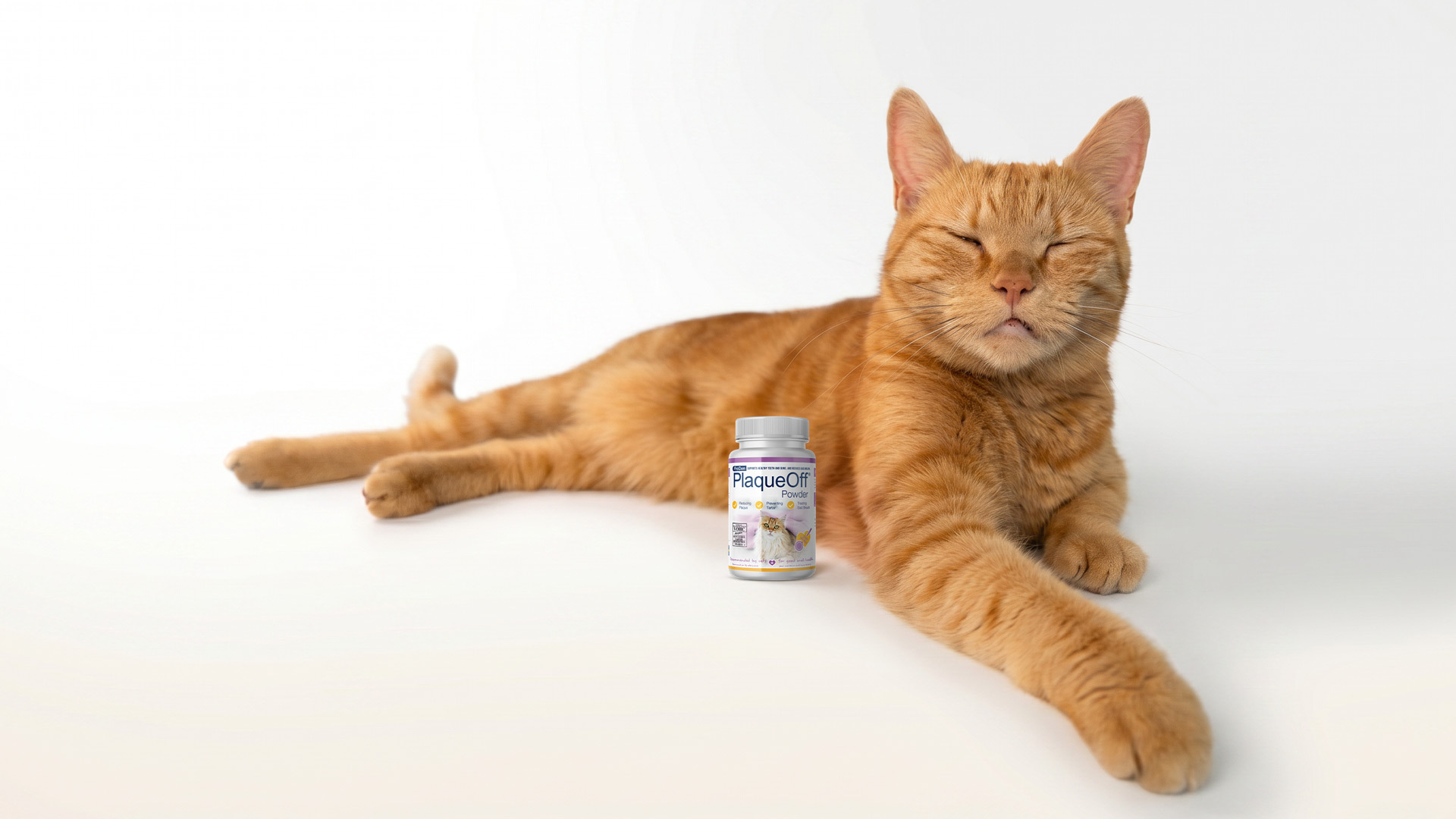 Does Cat Dental Powder Actually Work? Here's What the Evidence Says ...