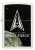 Space Force Zippo Lighter