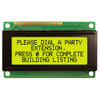 Front view of a 20x4 character LCD with a backlit yellow-green screen showing dark text.
