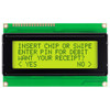 Front view of a 20x4 character LCD with a backlit yellow-green screen showing dark text.