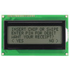 20x4 Character LCD FSTN with White Backlight Front Off
